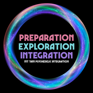 psychedelic integration coach training